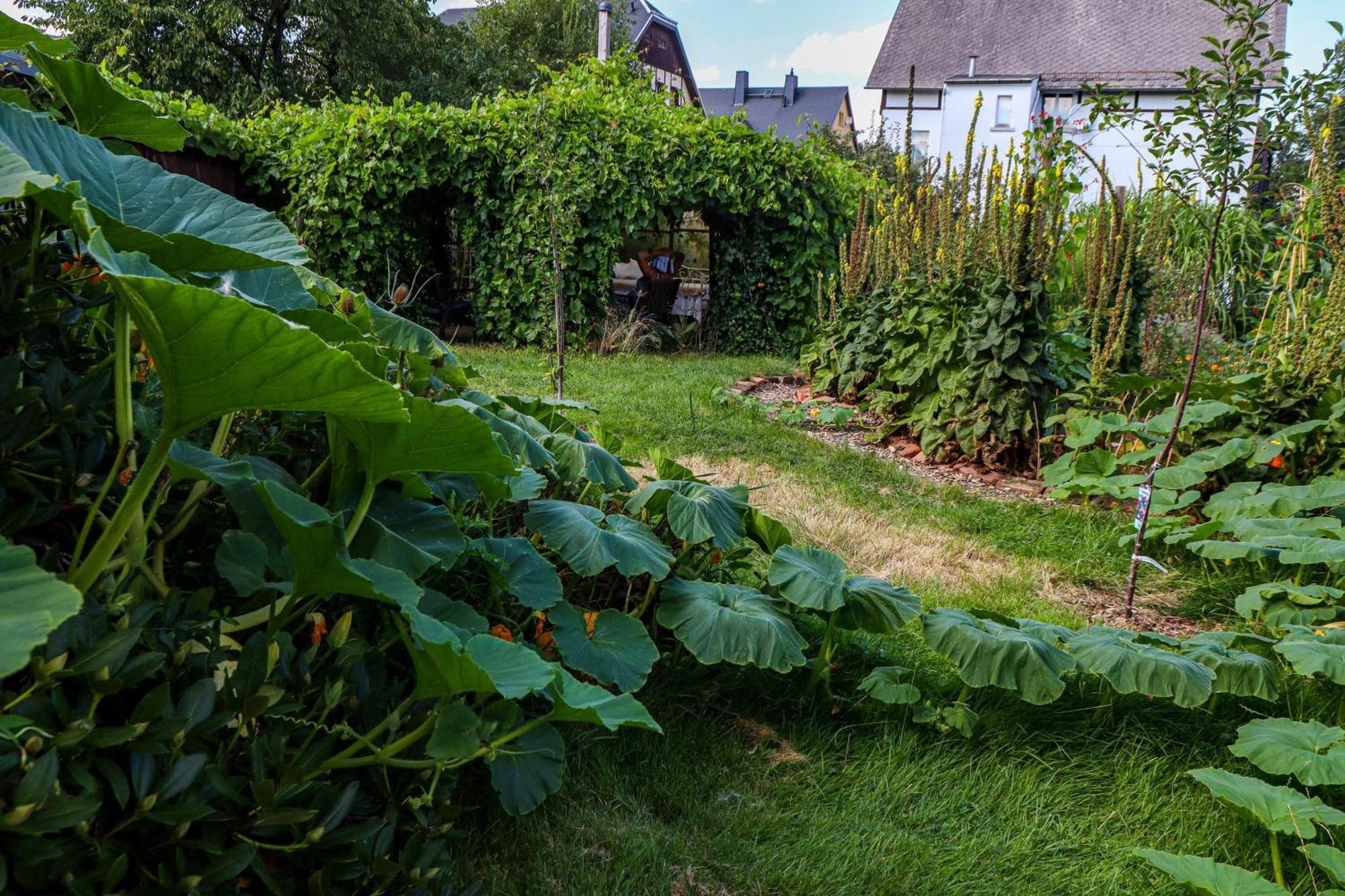 Yvette'S Ferienwohnung Lugau Kültér fotó